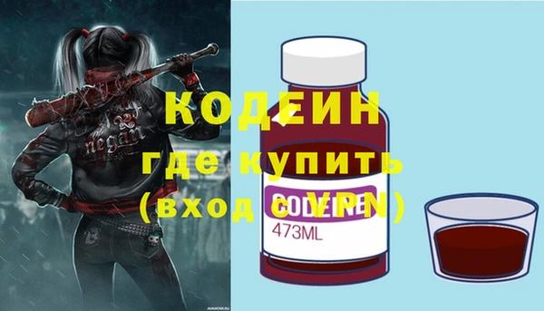 дмт Бородино