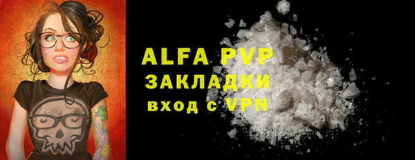 дмт Бородино