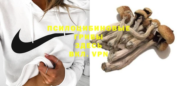 альфа пвп Богданович