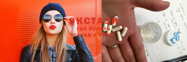 дмт Бородино