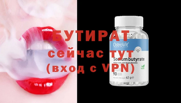 дмт Бородино