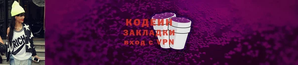 дмт Бородино