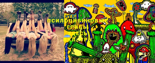 гидра Белоозёрский