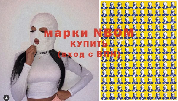 дмт Бородино