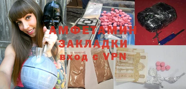 дмт Бородино