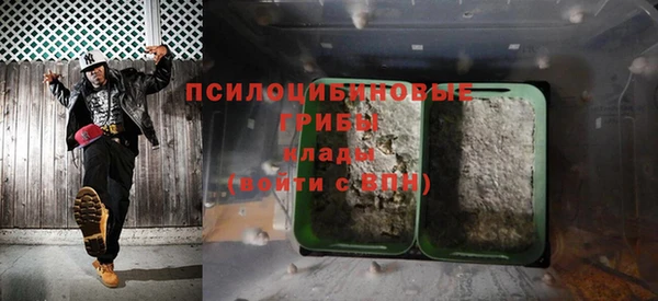 дмт Бородино