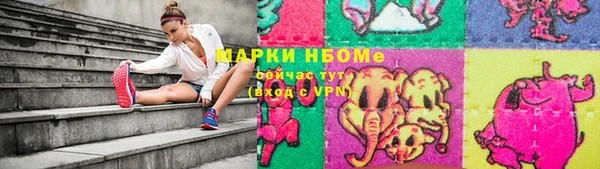 дмт Бородино