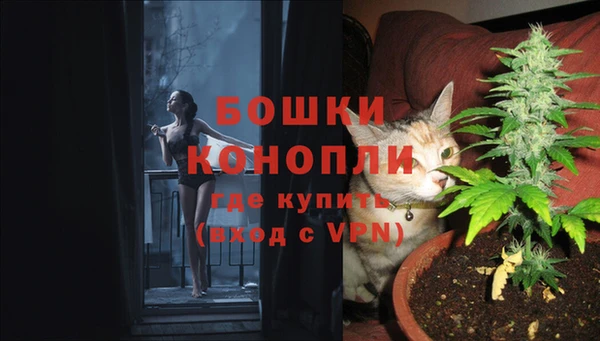 дмт Бородино