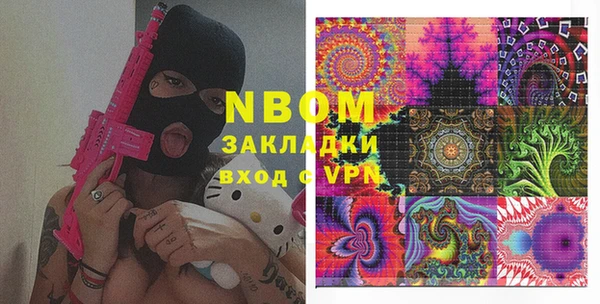 дмт Бородино