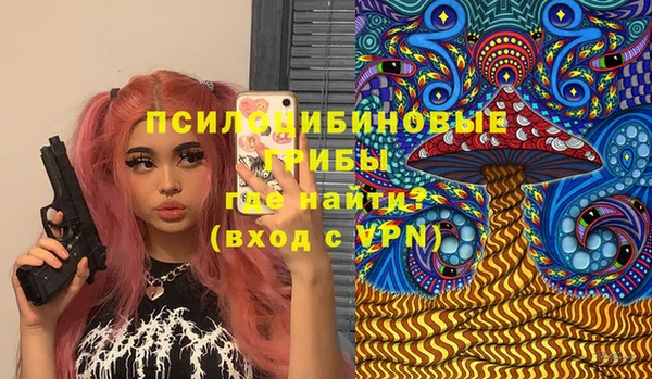 дмт Бородино